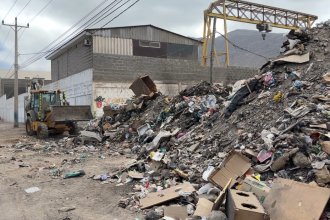 basura3.jpg